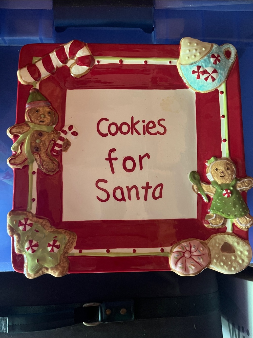 Kohl's Red and Green 'Cookies for Santa' Holiday Serving Platter